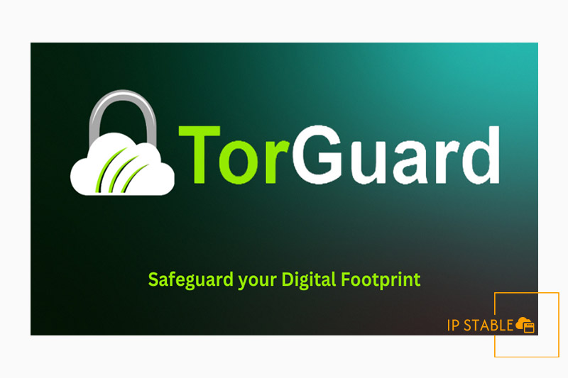 فیلتر شکن قدرتمند TorGuard برای ایفون 11 پرو مکس لینک مستقیم